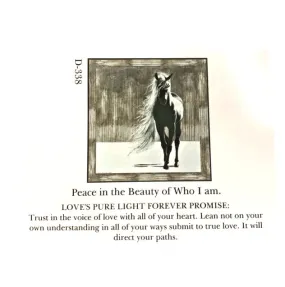 D338 Peace In The Beauty Of Who I Am