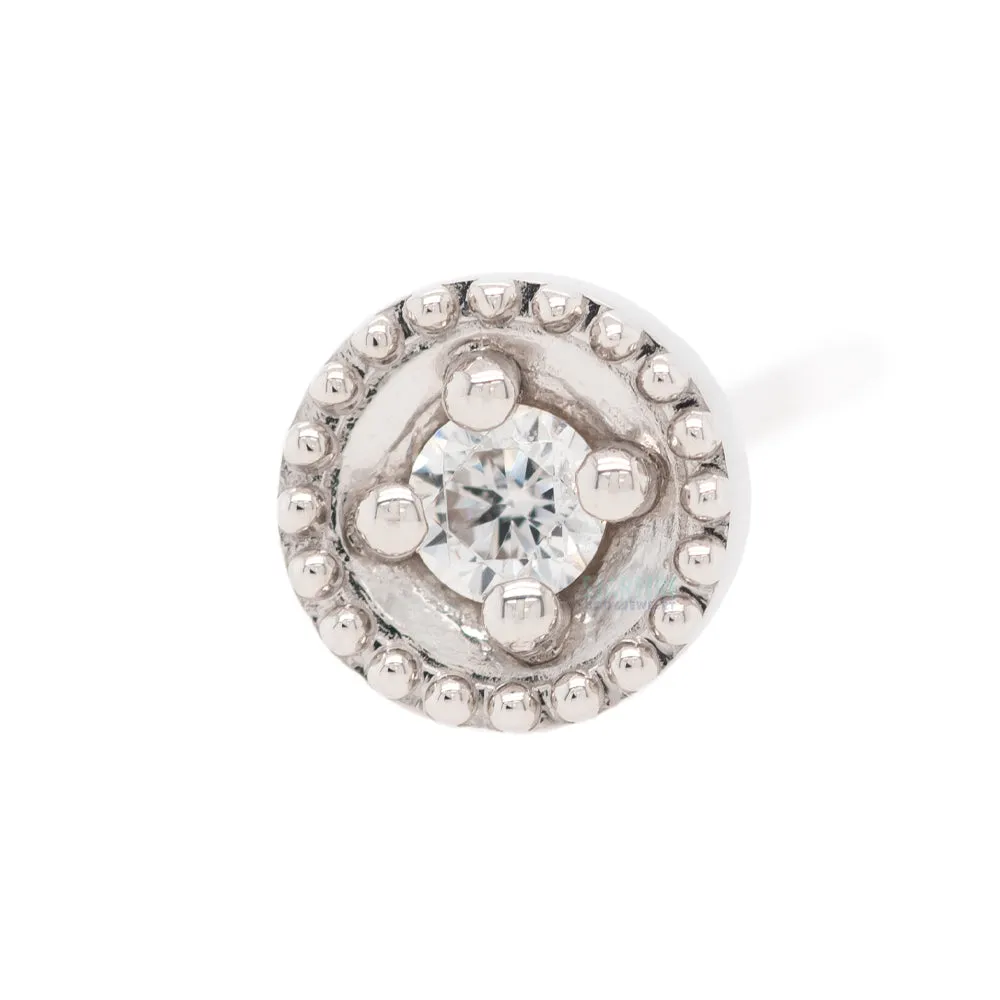 Round Harlequin Nostril Screw in Gold with White CZ